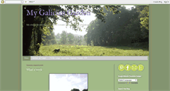 Desktop Screenshot of mygaliciangarden.blogspot.com