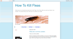 Desktop Screenshot of fleas-success.blogspot.com