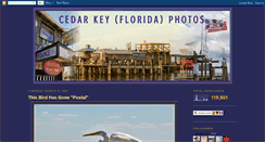 Desktop Screenshot of cedarkeydailyphoto.blogspot.com