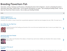 Tablet Screenshot of breeding-flowerhorn.blogspot.com