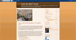 Desktop Screenshot of comeseewhatifound.blogspot.com