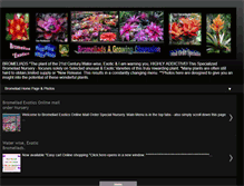 Tablet Screenshot of bromeliad-exotics.blogspot.com