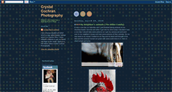 Desktop Screenshot of mycmcphotography.blogspot.com