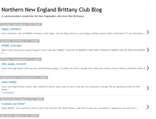 Tablet Screenshot of nnebc.blogspot.com