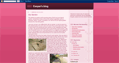 Desktop Screenshot of chrisgaspar.blogspot.com