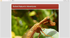 Desktop Screenshot of floridadayadventures.blogspot.com