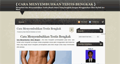 Desktop Screenshot of caramenyembuhkantestisbengkak.blogspot.com