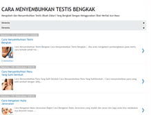 Tablet Screenshot of caramenyembuhkantestisbengkak.blogspot.com