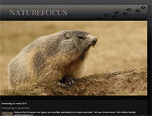 Tablet Screenshot of naturefocus-colinda.blogspot.com
