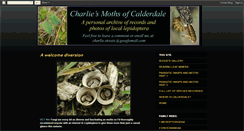 Desktop Screenshot of charlielepidopteraofcalderdale.blogspot.com