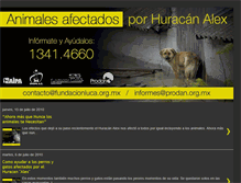 Tablet Screenshot of animalesafectadosporhuracanalex.blogspot.com