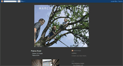 Desktop Screenshot of marcin-rzasa.blogspot.com