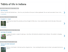 Tablet Screenshot of indiana-grace.blogspot.com