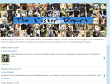 Tablet Screenshot of fosterreport.blogspot.com