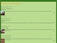 Tablet Screenshot of frogdawn.blogspot.com