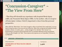 Tablet Screenshot of concussion-caregiver.blogspot.com