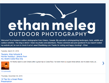 Tablet Screenshot of ethanmeleg.blogspot.com