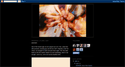 Desktop Screenshot of klausruddykinski.blogspot.com