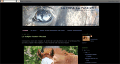 Desktop Screenshot of ca-frise-la-passion.blogspot.com