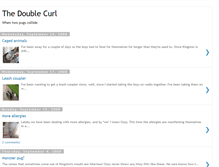 Tablet Screenshot of doublecurl.blogspot.com