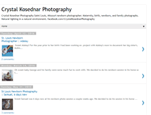 Tablet Screenshot of crystalkosednarphotography.blogspot.com