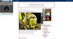 Desktop Screenshot of amazingbugs.blogspot.com