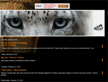 Tablet Screenshot of bigcatspecies.blogspot.com