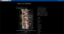 Desktop Screenshot of crillesphotos.blogspot.com