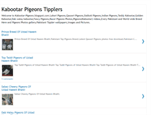 Tablet Screenshot of kabootar-pigeons.blogspot.com