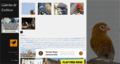Desktop Screenshot of fotobird.blogspot.com
