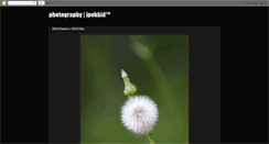 Desktop Screenshot of ipohkid.blogspot.com