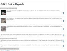 Tablet Screenshot of calico-prairie-ragdolls.blogspot.com