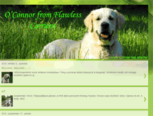 Tablet Screenshot of connor-lap.blogspot.com