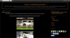 Desktop Screenshot of joelalexanderphoto.blogspot.com