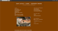 Desktop Screenshot of loscabosgophersnake.blogspot.com