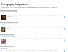 Tablet Screenshot of businessphotographer.blogspot.com