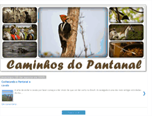 Tablet Screenshot of caminhosdopantanal.blogspot.com