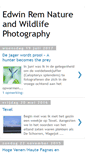 Mobile Screenshot of edwinrem.blogspot.com