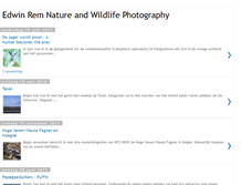 Tablet Screenshot of edwinrem.blogspot.com