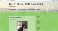 Desktop Screenshot of budrysek-koty.blogspot.com