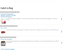Tablet Screenshot of catchabug.blogspot.com