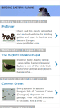 Mobile Screenshot of birdingeasterneurope.blogspot.com