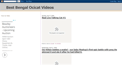 Desktop Screenshot of best-bengal-ocicat-videos.blogspot.com