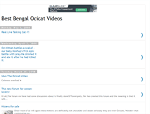 Tablet Screenshot of best-bengal-ocicat-videos.blogspot.com