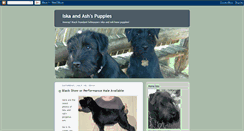 Desktop Screenshot of blackschnauzer.blogspot.com