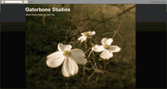 Desktop Screenshot of gatorbonestudios.blogspot.com