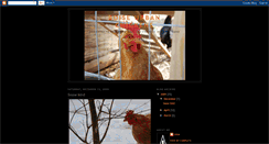 Desktop Screenshot of boiseurbanchickens.blogspot.com