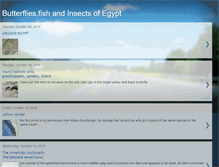 Tablet Screenshot of insectsonwings.blogspot.com