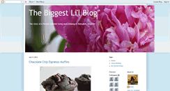 Desktop Screenshot of biggestlilblog.blogspot.com