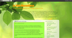 Desktop Screenshot of lavidamaravillosa2011.blogspot.com